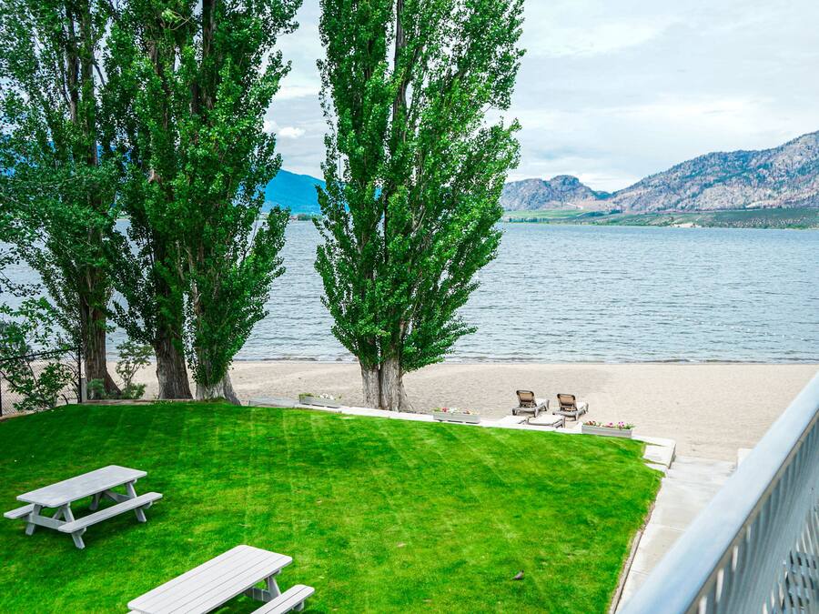 A grassy area with picnic tables and a view of a lake and mountains.