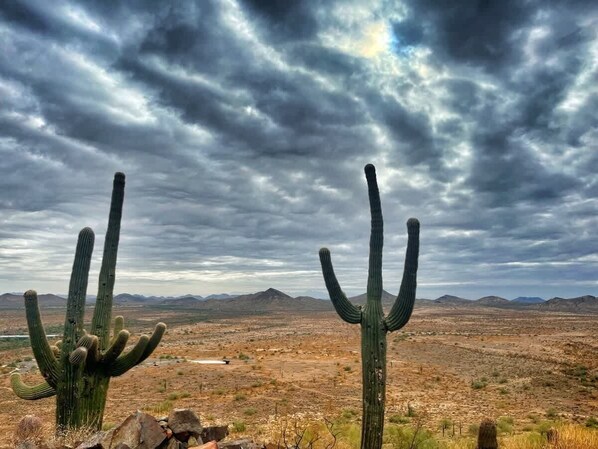 Un paysage désertique avec deux grands cactus et des montagnes lointaines, le tout sous un ciel nuageux.