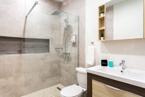 Hair dryer, towels, soap, toilet paper