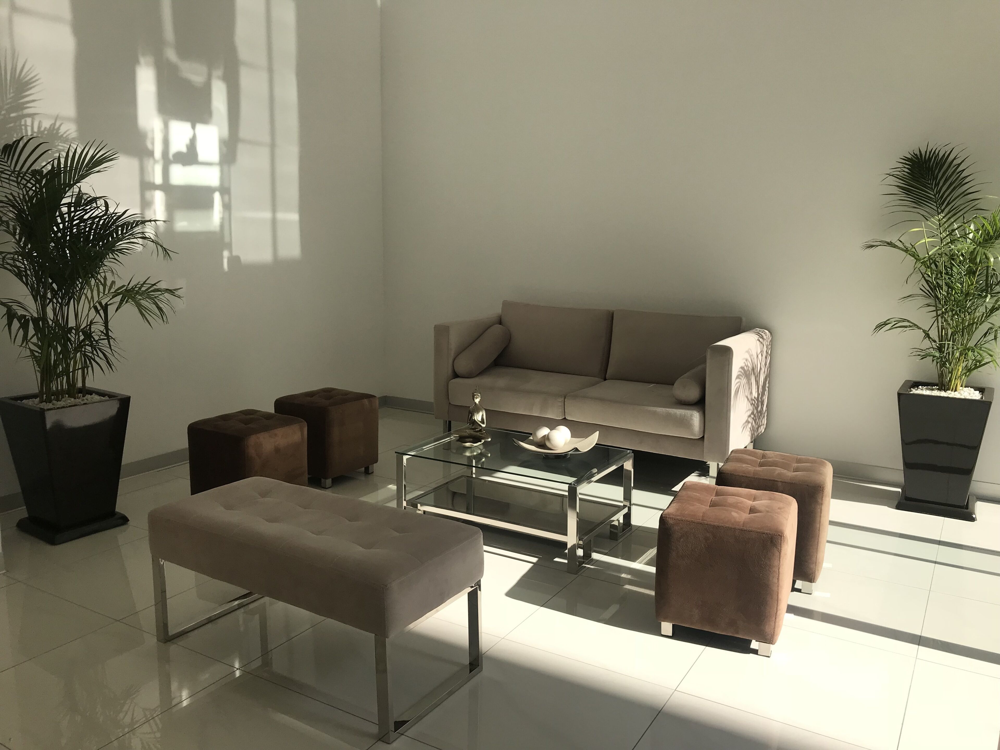Una sala de estar moderna con un sofá color beige, una mesa de centro de vidrio y dos otomanas. Hay dos plantas grandes en macetas, una a cada lado del sofá.