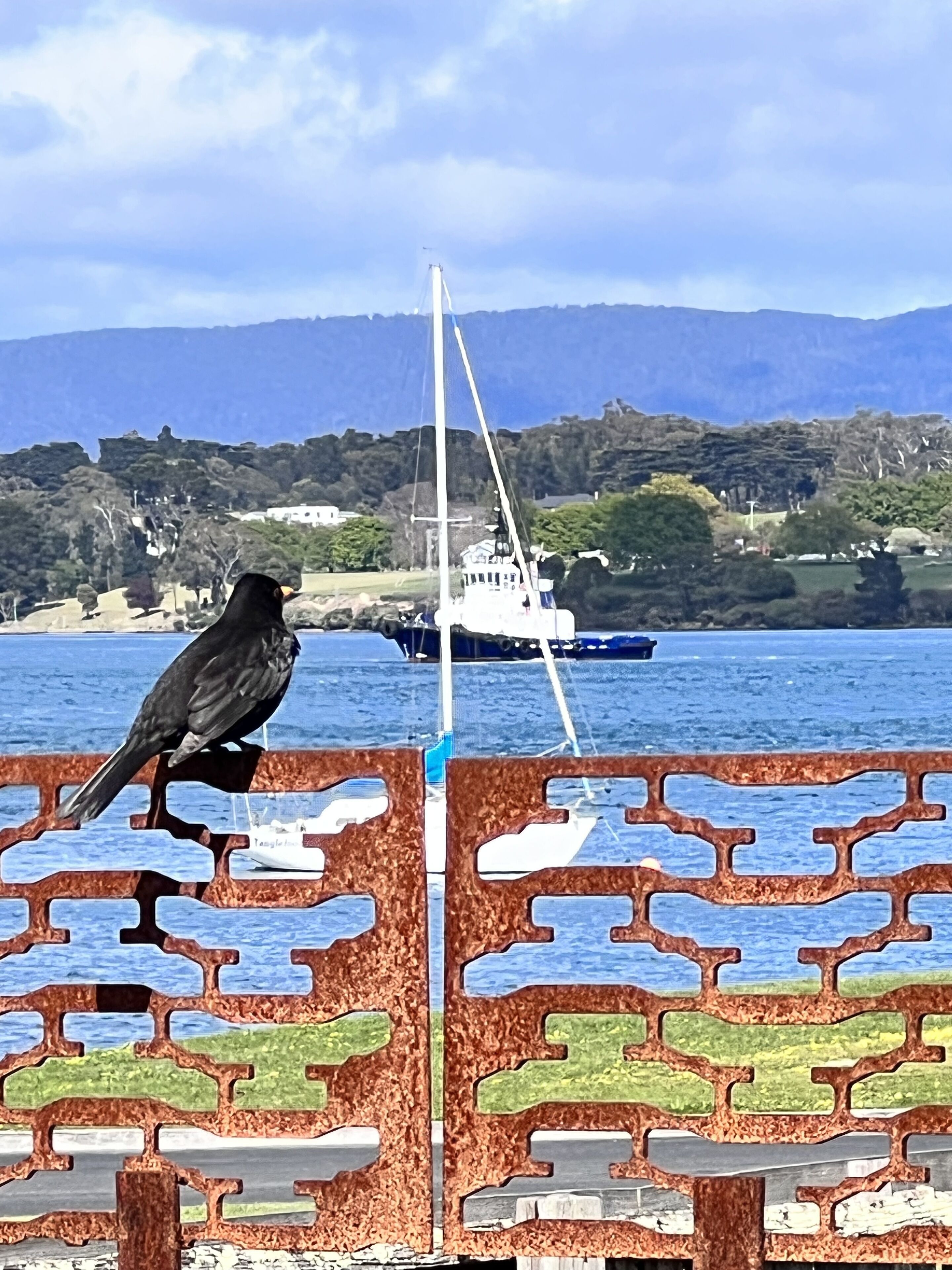 Een vogel zit op een metalen hek, met een boot en bergen op de achtergrond.