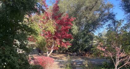 Quiet Gold Country Guest House in the Sierra Nevada Mountains. Pet Friendly!