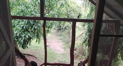 Amaya's Hostel