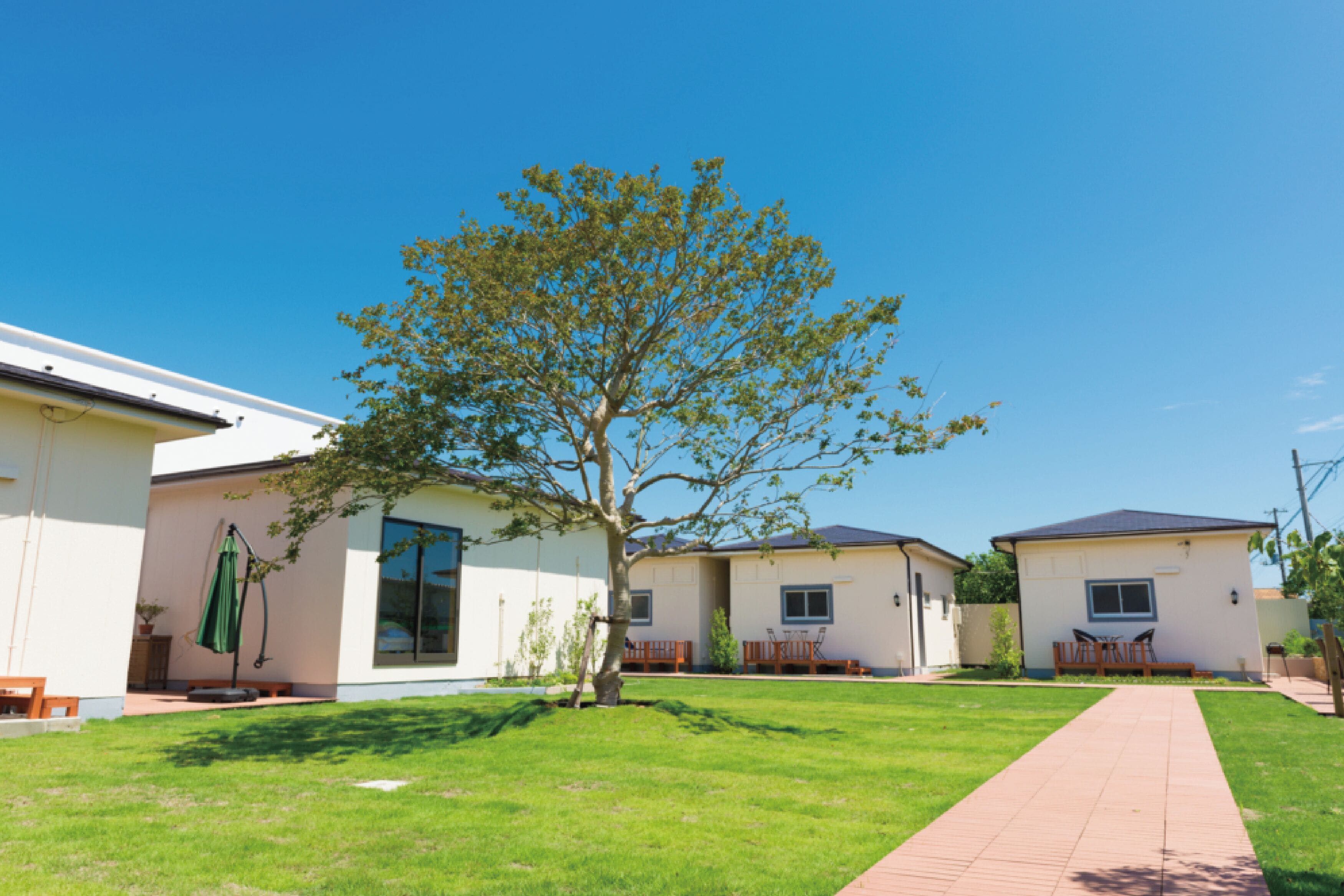 A residential area with a pathway leading to a house with a large tree in the yard.