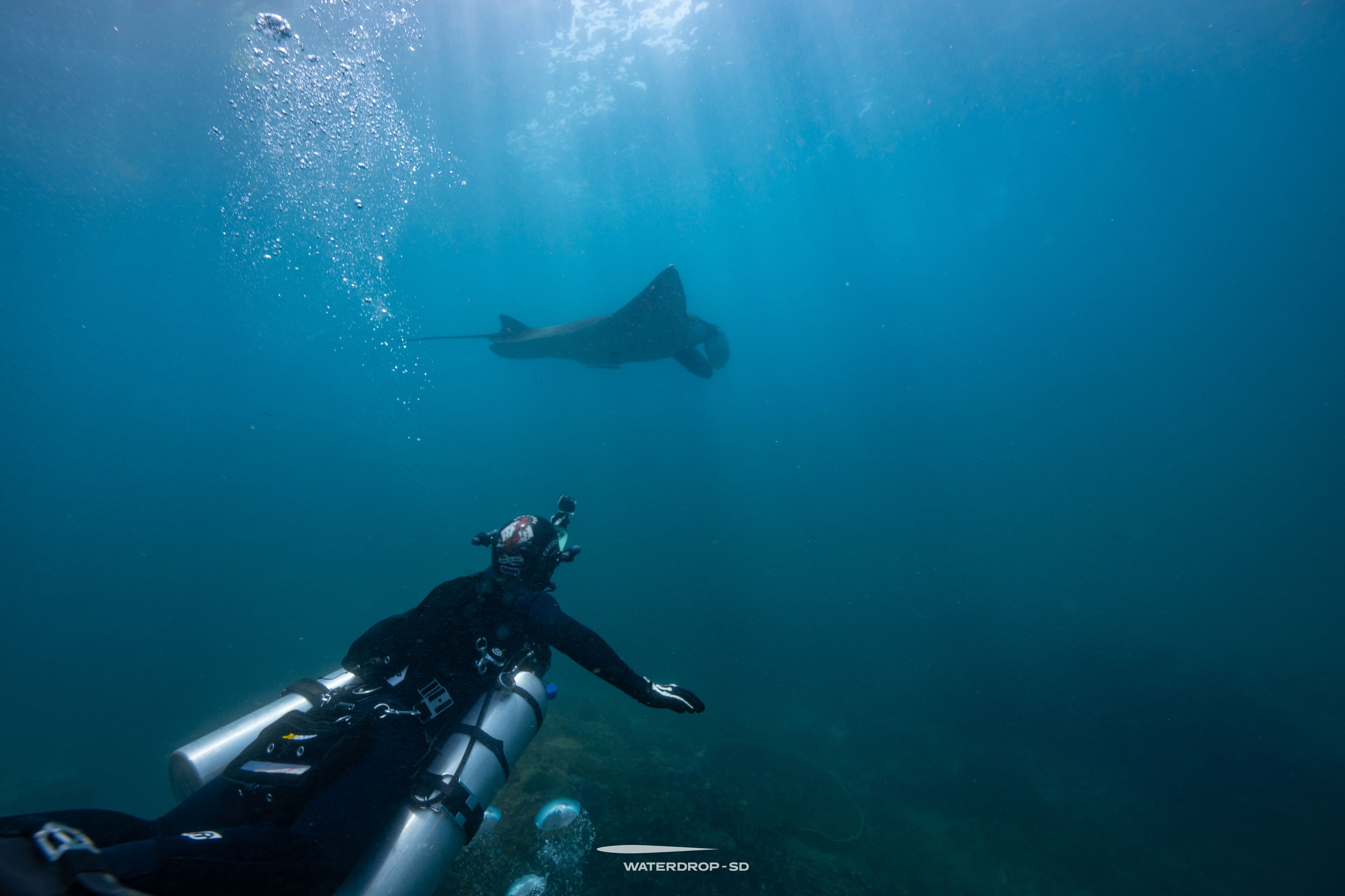A diver with a scuba tank swimming underwater.