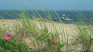 A coastal landscape with a sandy beach, green grass, and a person standing near the water. - Charming Retreat - Central A/C, Firepit, Walk to Downtown (Falmouth)