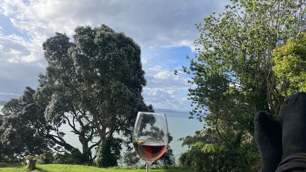 Et bord med et glas rødvin, en person med sorte handsker, og udsigt over en sø med træer og en overskyet himmel.
