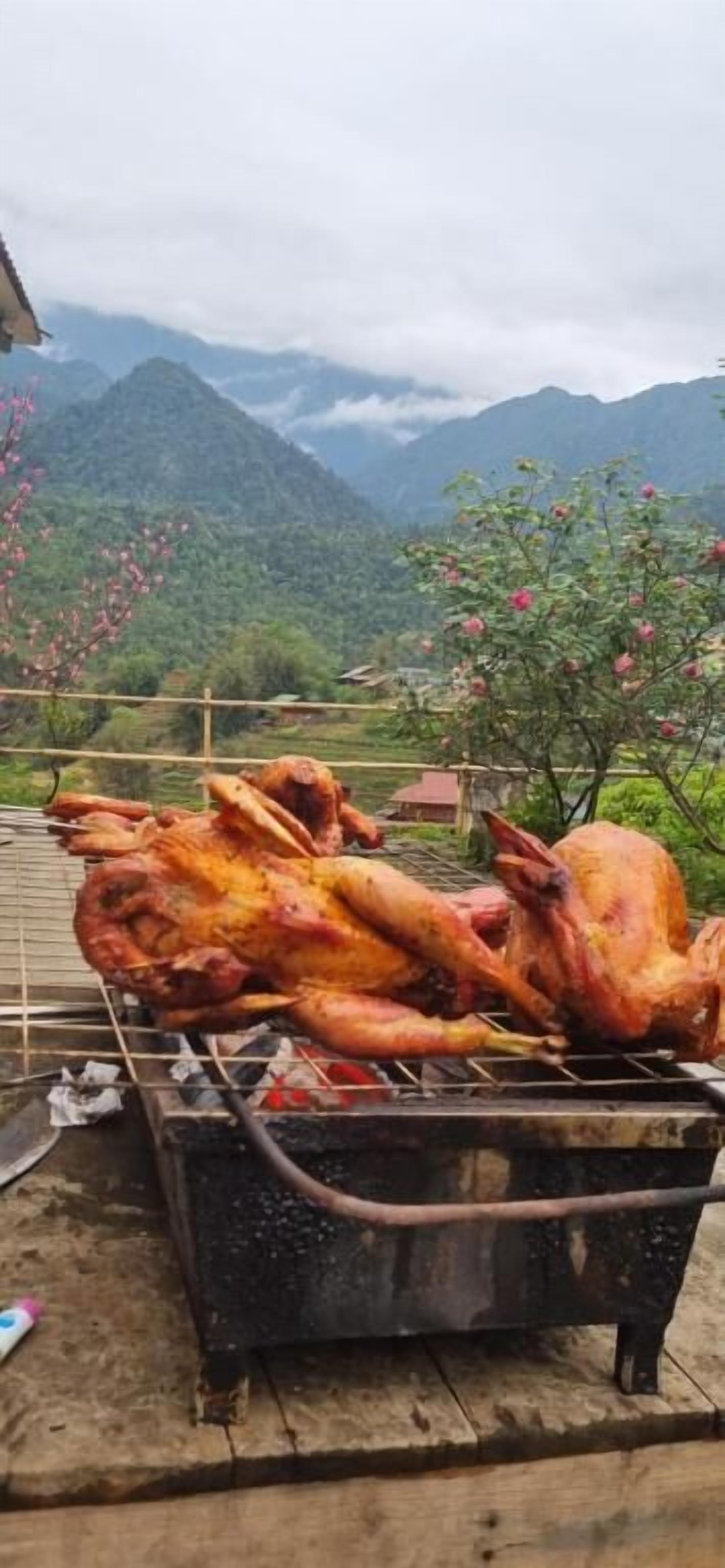A large roasted turkey on a grill outdoors with mountains in the background.