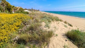 A sandy beach with yellow flowers and green vegetation. - Los Monteros Palm Beach - sea & pool views (Marbella)