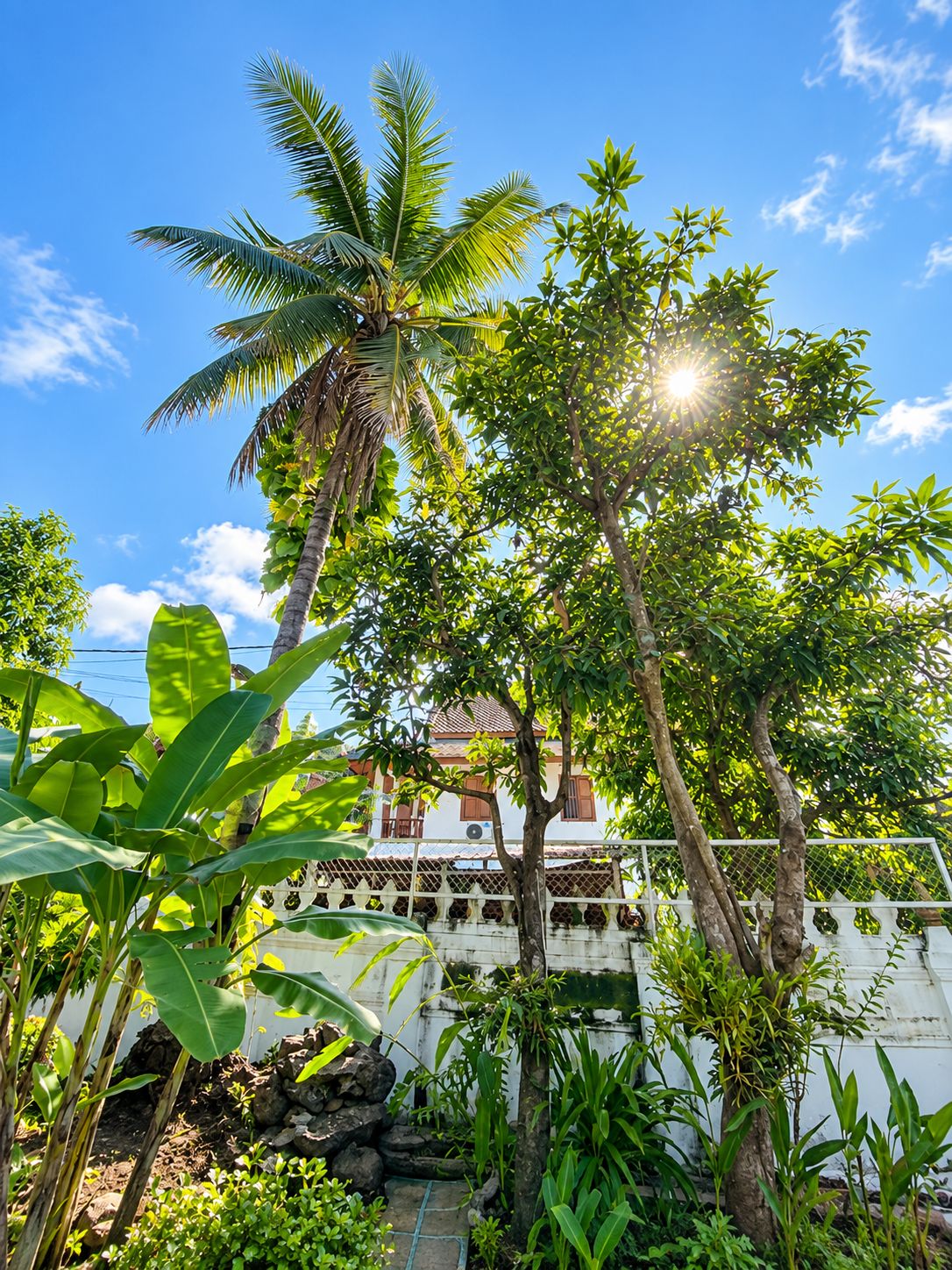Un jardín tropical con un edificio blanco, palmeras y diversas plantas verdes.