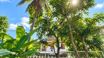 Un jardín tropical con un edificio blanco, palmeras y diversas plantas verdes.