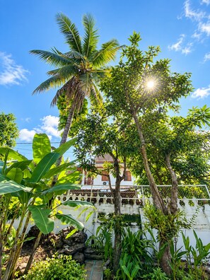 A tropical garden with a white building, palm trees, and various green plants.