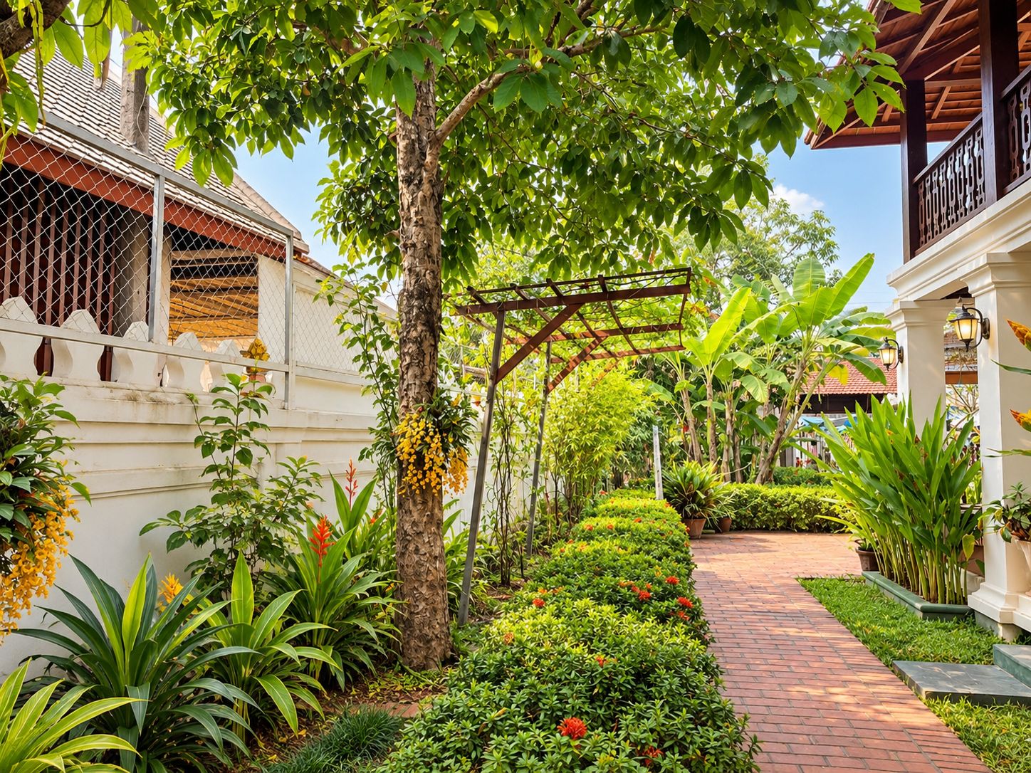 Um caminho de jardim com pérgola, diversas plantas e um edifício branco com cerca.