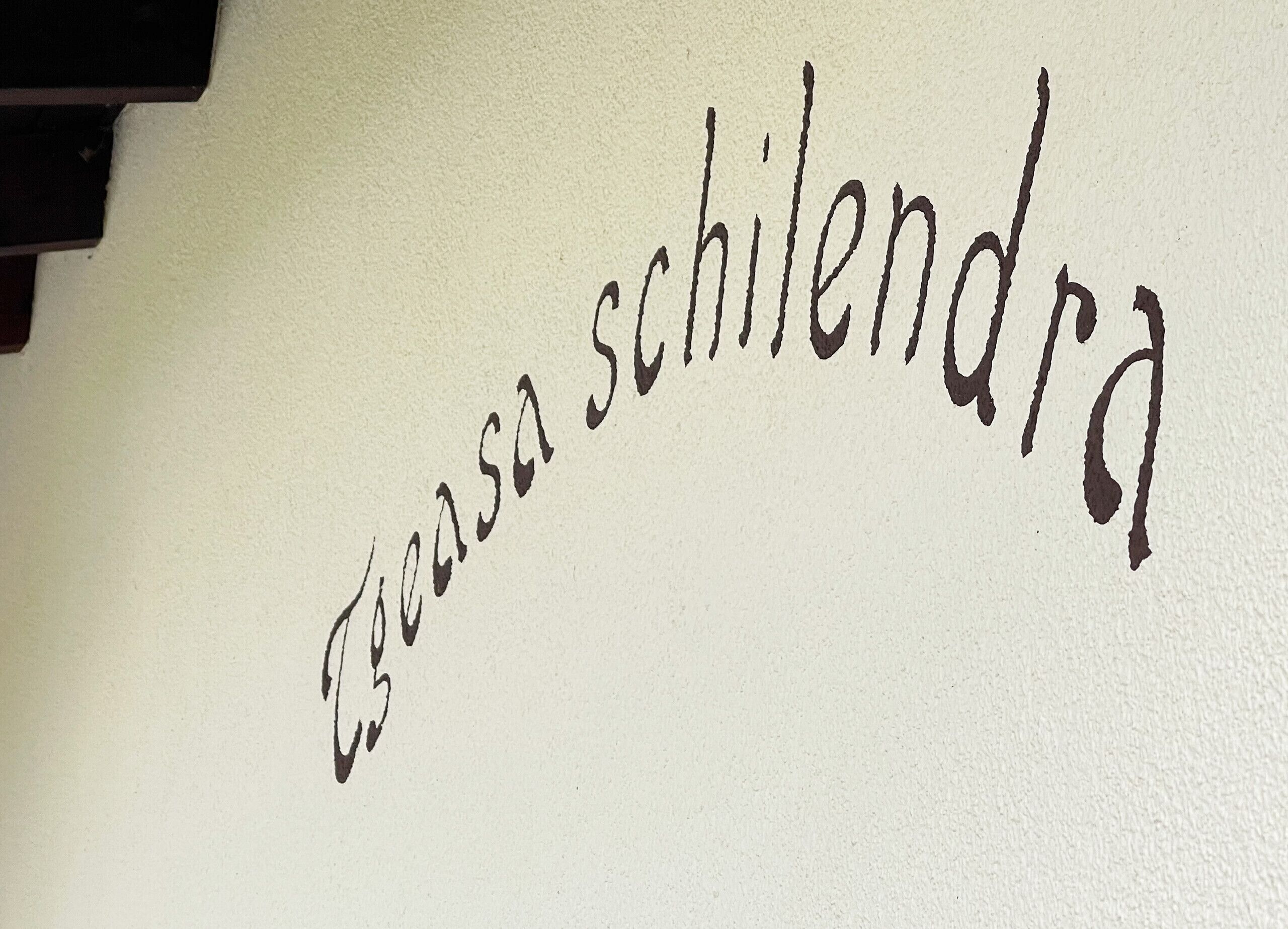 A handwritten text on a white surface.