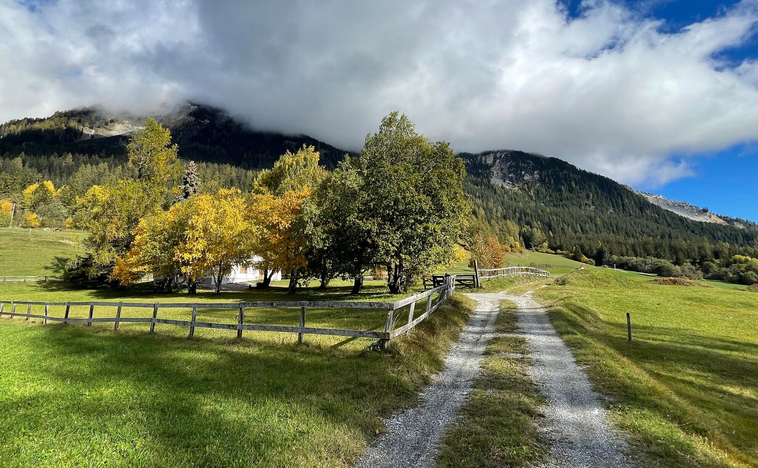 Eine ländliche Landschaft mit einem Schotterweg, einem Holzzaun und Bäumen im Herbstlaub.