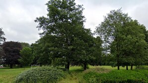 Een park met volwassen bomen en verzorgde gazons.