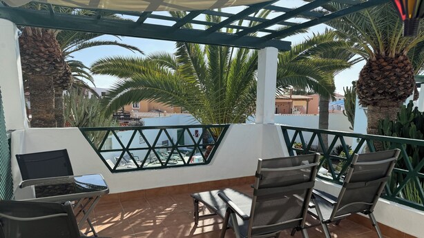A covered outdoor seating area with chairs and a table, overlooking a pool and palm trees.