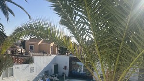 A swimming pool with lounge chairs and a palm tree.