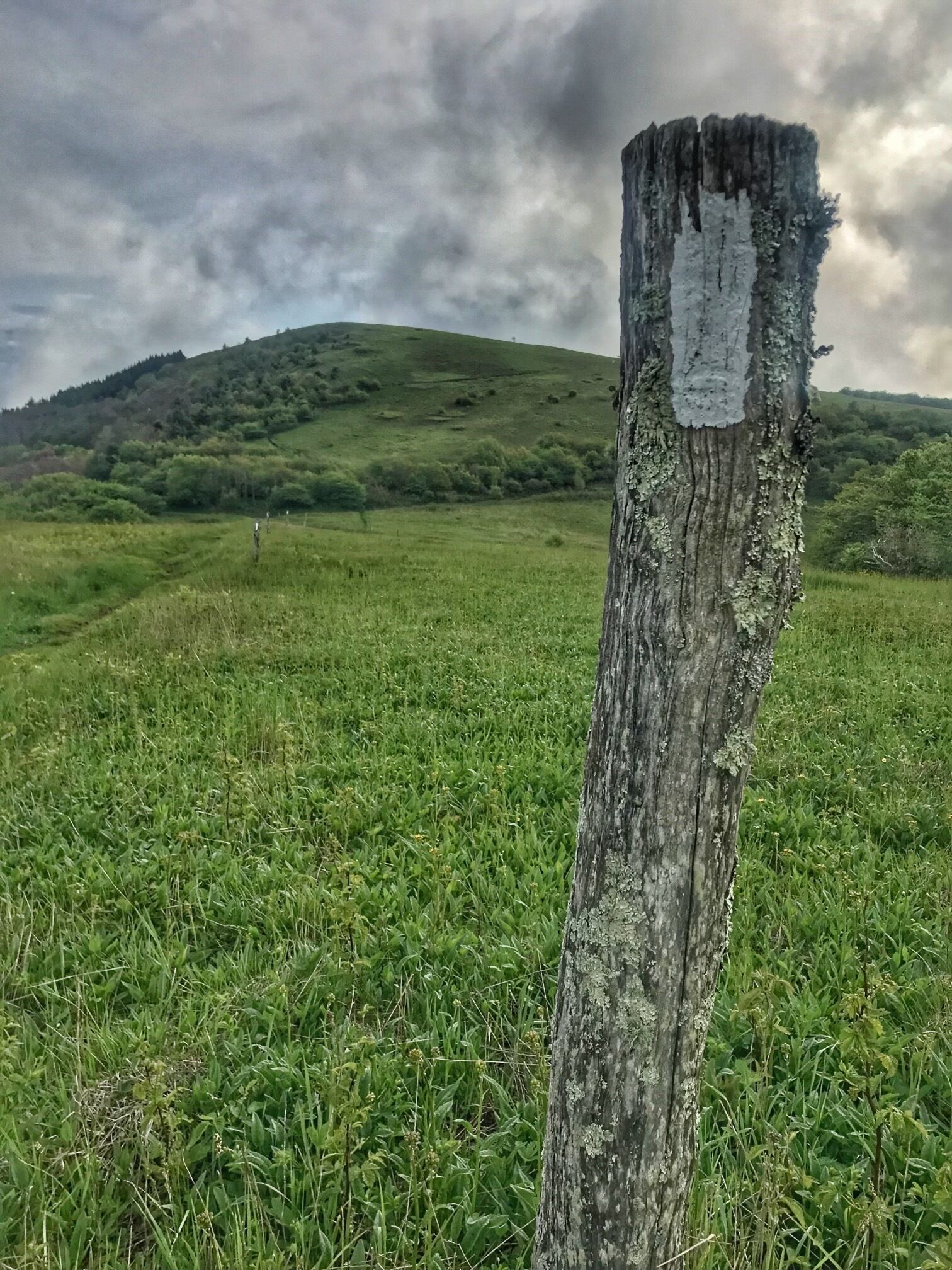 Un poteau en bois usé, planté dans un champ herbeux, avec une colline en arrière-plan.