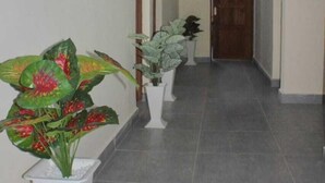 Un couloir doté d’un sol carrelé, de murs blancs et de plusieurs plantes en pot.