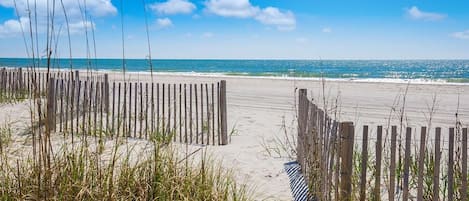 Am Strand
