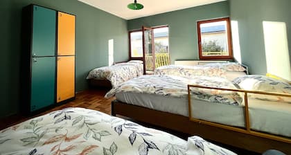 Hostel Prishtina Backpackers