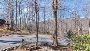 Property grounds - Little Wolf Cabin: Cozy Log Cabin Retreat Amidst Wooded Bliss (Maggie Valley)