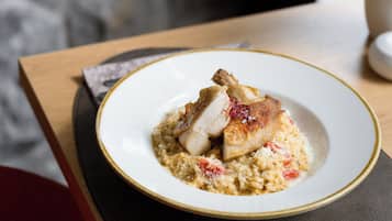 En tallerken mad med et stykke kød og en cremet bund, muligvis risotto, på en hvid tallerken med guld kant.