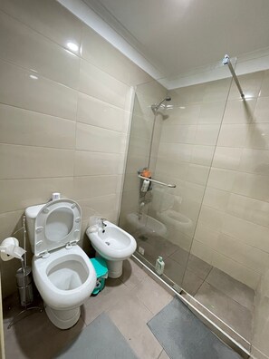 Hair dryer, towels, soap, toilet paper