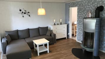 Televisio, takka, videopelejä, DVD-soitin