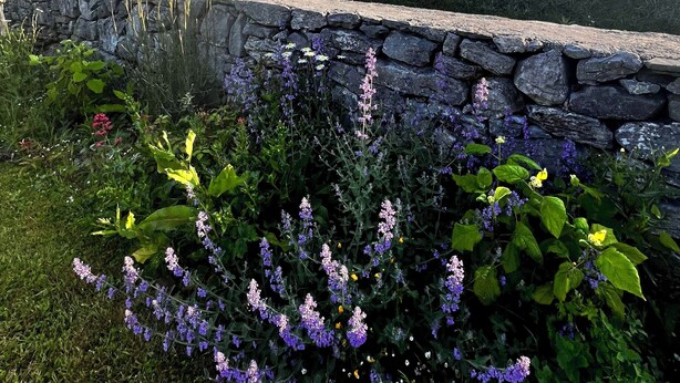 A stone wall with a garden in front, a clear blue sky, and a distant view of the sea.