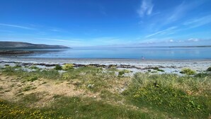 A coastal landscape with a clear sky, a calm sea, and a grassy foreground with yellow flowers.