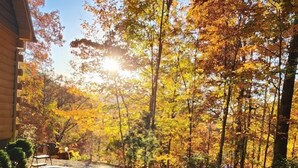 Een jacuzzi in een achtertuin met herfstbomen en een heldere lucht.
