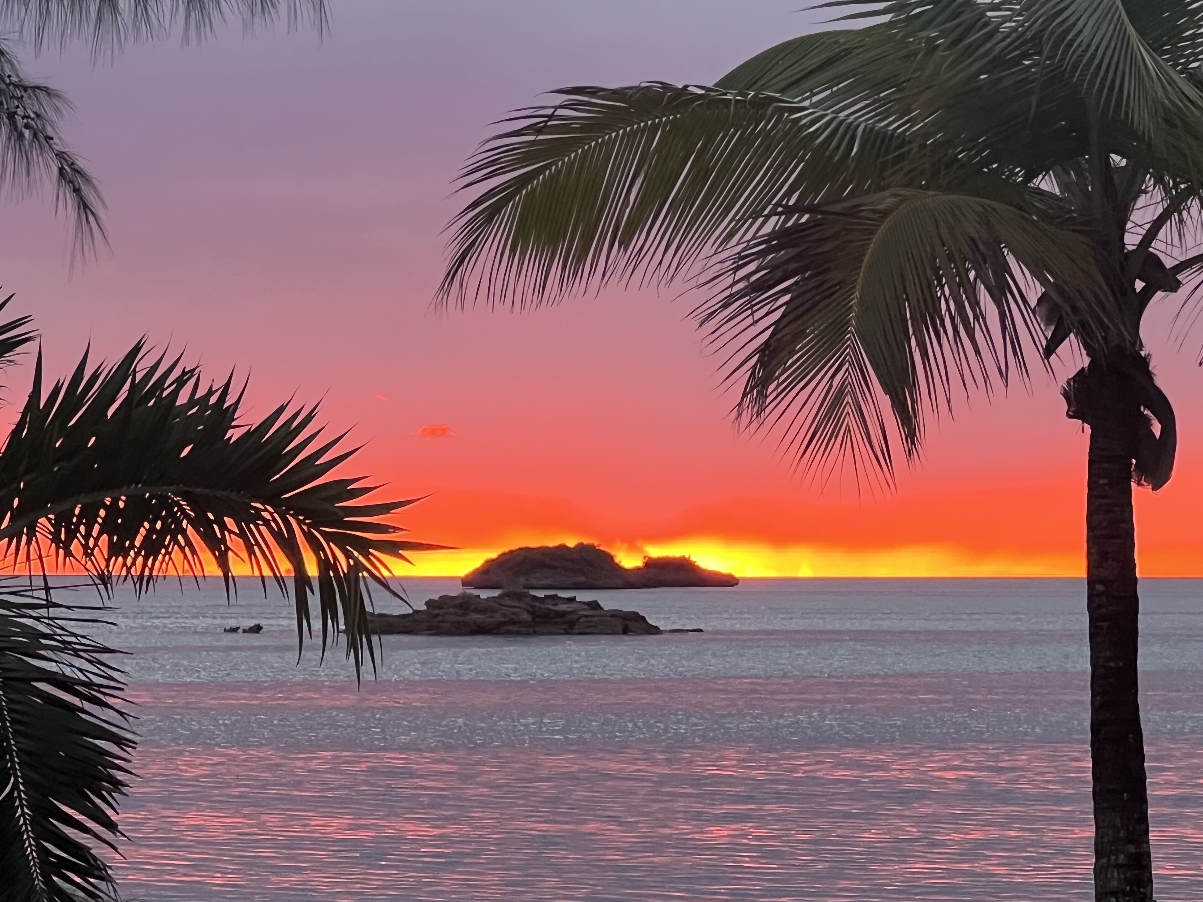 A sunset over a calm sea with palm trees in the foreground.
