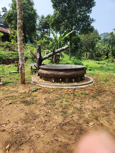 Forest home where elephants roam