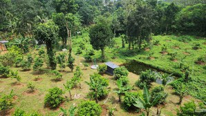 A lush, green landscape with a small building surrounded by dense vegetation and trees. - Forest home where elephants roam (Seethathode)