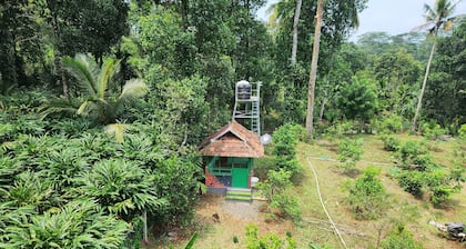Forest home where elephants roam
