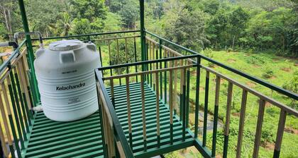 Forest home where elephants roam