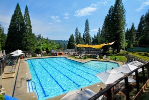 Relax by the pool surrounded by lush evergreen trees, with multiple lanes for swimming and comfortable lounge seating.