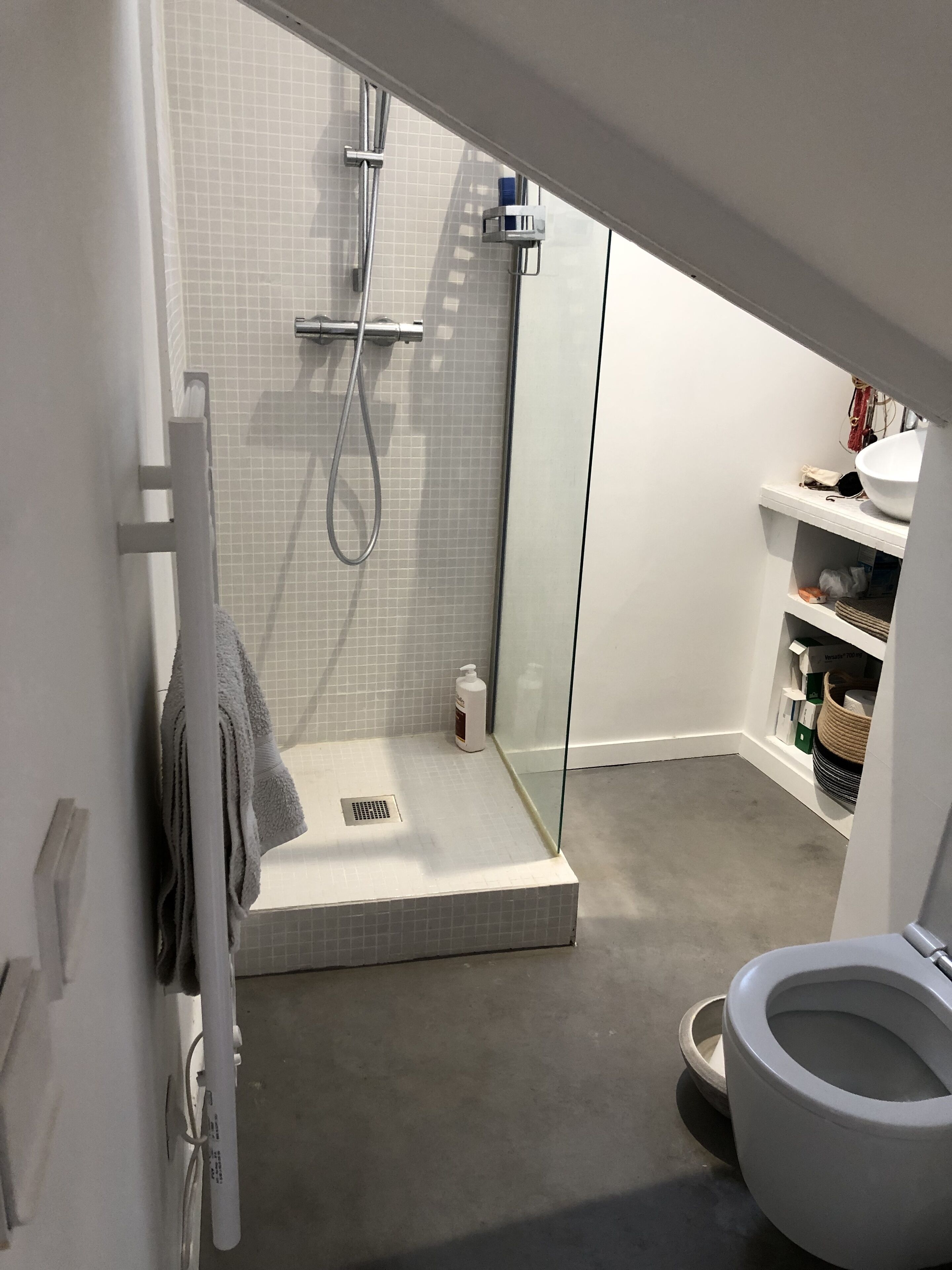 A modern bathroom with a shower, toilet, and storage shelves.