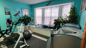 Een sportschool in huis met trainingsapparatuur, een grote fitnessbal en verschillende potplanten.