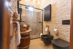 Shower, hair dryer, bidet, towels
