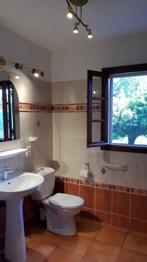 Shower, hair dryer, bidet, towels