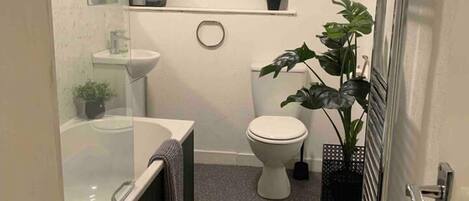 Shower, free toiletries, hair dryer, towels