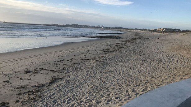 A beach with a clear sky, waves, and a distant building. - Árvore Cozy com Jardim (Árvore)
