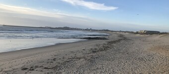 Árvore Cozy com Jardim