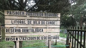 A wooden sign with text in Portuguese, indicating a protected regional landscape, a bird sanctuary, and an ornithological reserve, with a reference number and date. - Árvore Cozy com Jardim (Árvore)