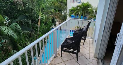 Cruz Bay, Guide Star of Saint John, USVI, Luxury condo, walk to town/ beaches!