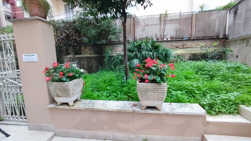 Vatican Green Garden