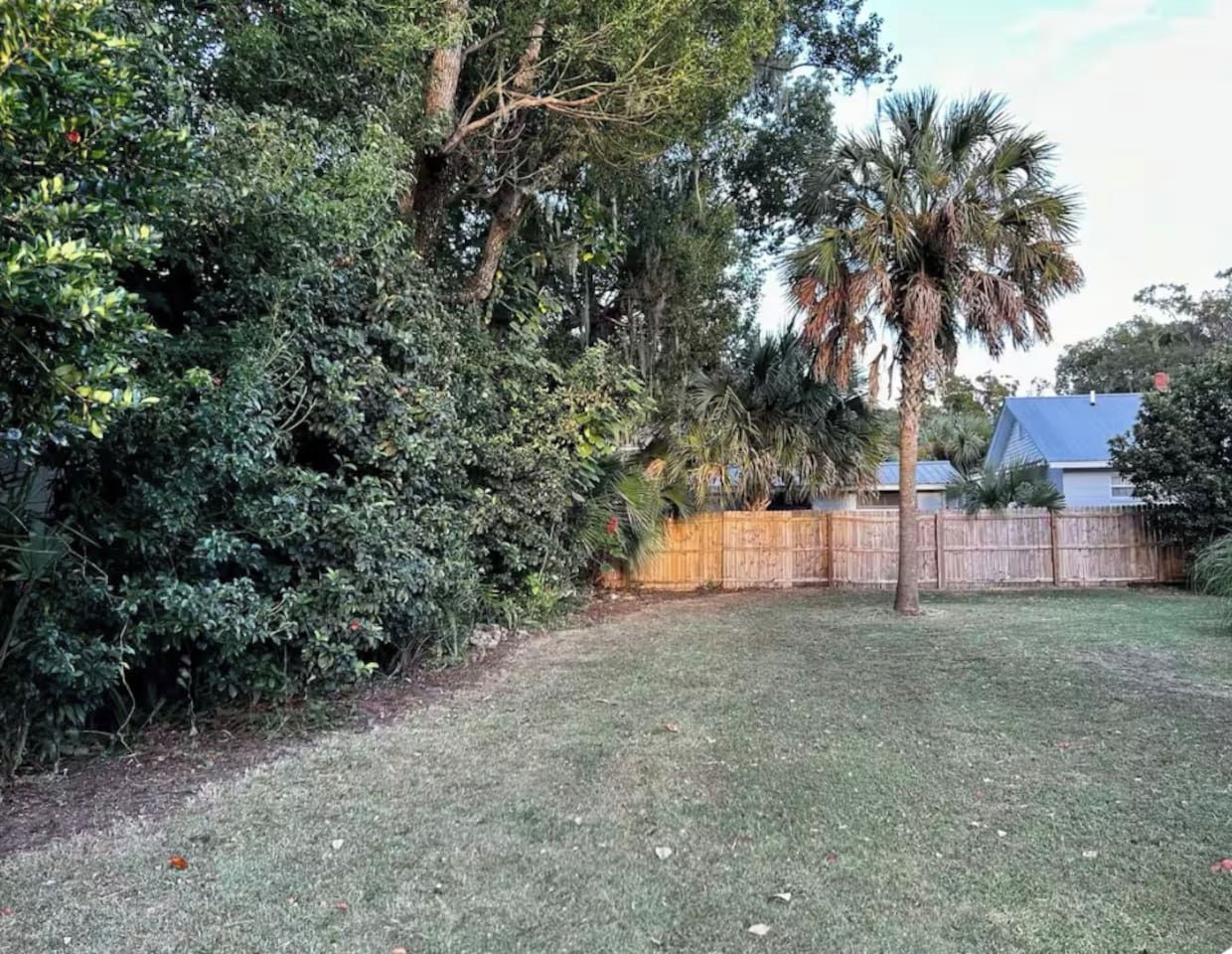 A backyard with a wooden fence, dense foliage, and a palm tree.